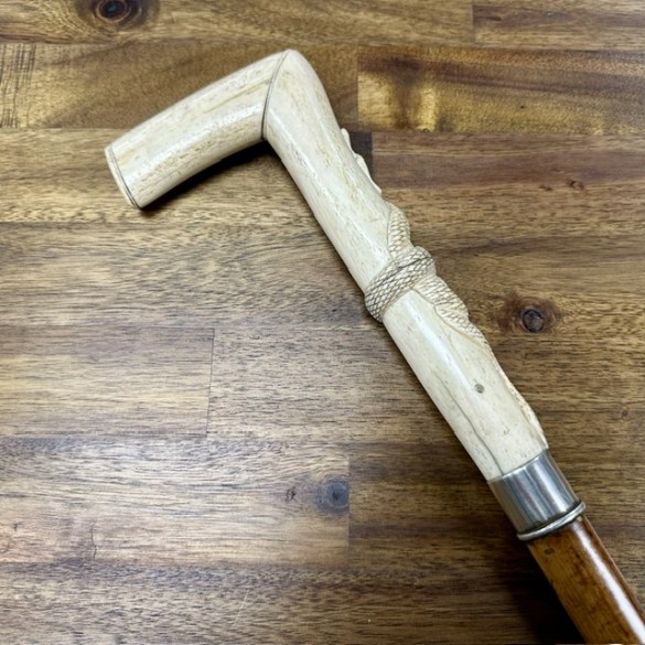 Walking Stick 1